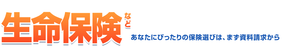 かんたん入力！ ご利用は無料！　生命保険などパンフレット一括請求